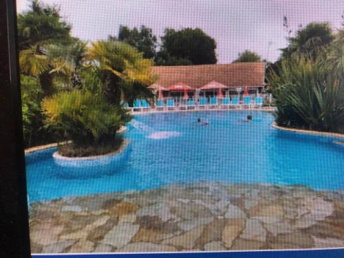 une grande piscine avec des palmiers et des personnes y séjournant dans l'établissement Bungalow Charmant à La Baule, Piscine, à Saint-André-des-Eaux