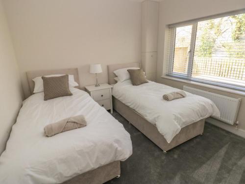 two beds in a bedroom with a window at Wychwood in Haverfordwest