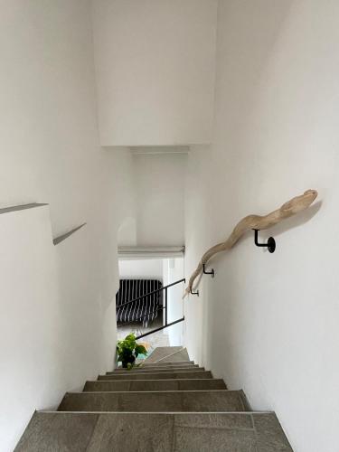 Φωτογραφία από το άλμπουμ του Giulio's place, cozy apartment lake view σε Maccagno Inferiore