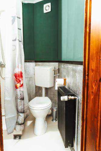 a bathroom with a toilet and a green wall at Casa Rosu in Cluj-Napoca