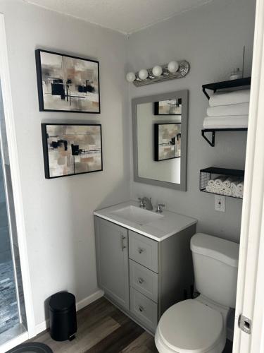 a bathroom with a toilet and a sink and a mirror at Lakeside Haven Oasis (Upper) in Racine