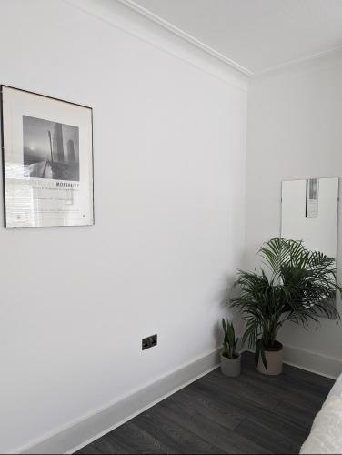 um quarto branco com vasos de plantas e uma imagem na parede em Tottenham Stadium Rooms em Londres