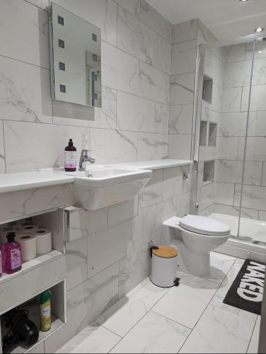 倫敦的住宿－2 bed in the Heart of Stoke Newington，白色的浴室设有水槽和卫生间。