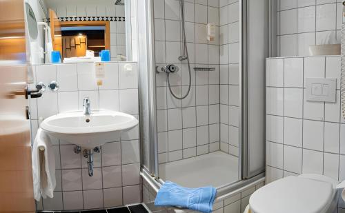 a bathroom with a shower and a sink at Hotel Zur alten Schmiede in Schaprode