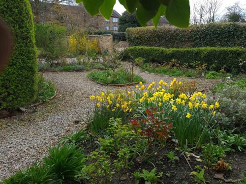a garden with yellow and orange flowers and bushes at 'The Potting Shed' in Knaresborough