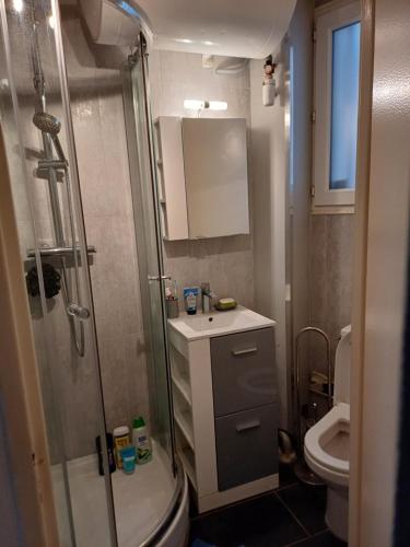 une salle de bain avec une douche, un lavabo et des toilettes dans l'établissement STUDIO CHARONNE, à Paris