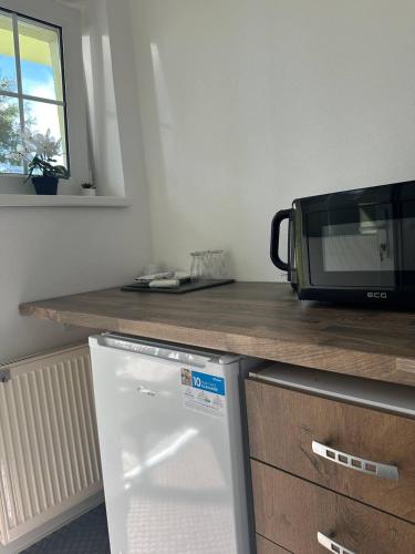a kitchen with a refrigerator and a microwave on a counter at Hotel Marislav in Češnovice