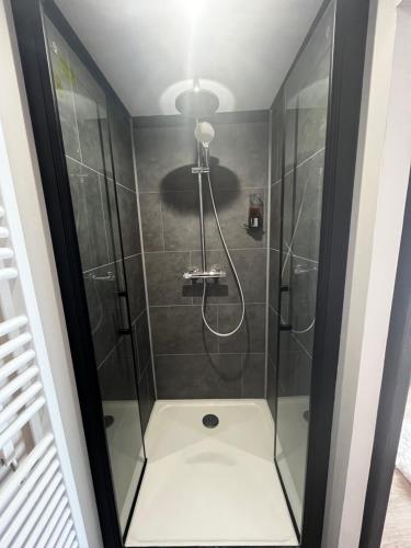 a shower with a glass door in a bathroom at Agréable Appartement Centre B in Bourges