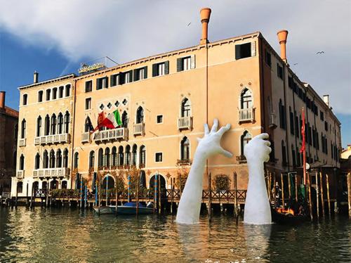 two white swans in the water in front of a building at Hotel New Aurora Venice in Marghera