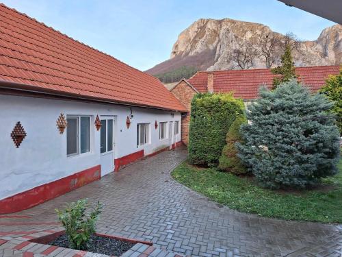 a group of buildings with a mountain in the background at Vigh vendégház in Rimetea