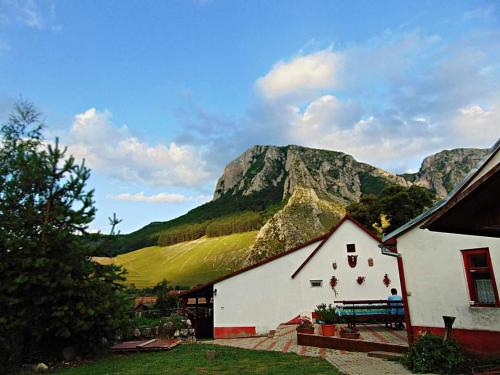 a white building with a mountain in the background at Vigh vendégház in Rimetea
