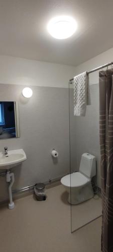 ein Bad mit einem WC, einem Waschbecken und einer Dusche in der Unterkunft Britz Hostel in Kristinehamn