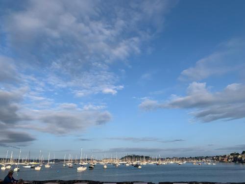 a group of boats are docked in the water at Captains No9 Falmouth in Falmouth