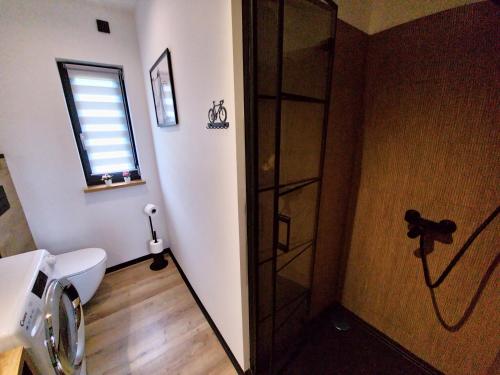 a bathroom with a shower and a toilet and a window at Baltic Barns Brisa in Wytowno
