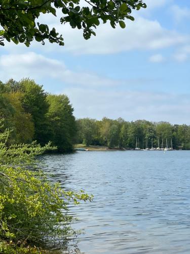 a view of a large body of water with trees at Cottage & Garden & Sauna am See in Wettringen