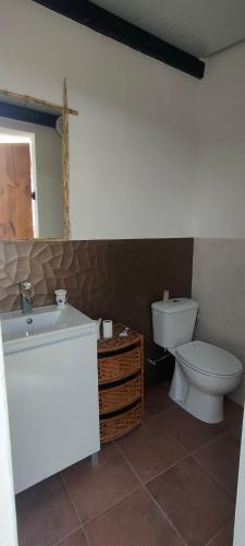 a bathroom with a toilet and a sink at Casa rural con piscina climatizada y barbacoa a 10 km de Alicante y playas, 3000 m2 de terreno in Elche