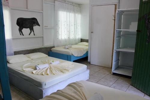 a room with two beds in a room with atainedthritisthritisthritis at Life for Life Hostel Drake Bay Home of Sea Turtle Marine Conservation Project Osa Peninsula near San Josecito Beach in Drake