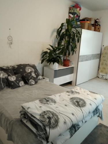 a bedroom with a bed and a potted plant at Byt 2kk v Liberci in Liberec