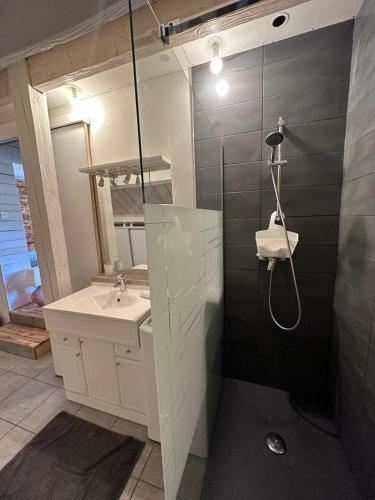 une salle de bain avec douche et lavabo dans l'établissement Le chalet Lili, à Gérardmer