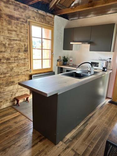 une cuisine avec un évier et un plan de travail dans l'établissement Le chalet Lili, à Gérardmer