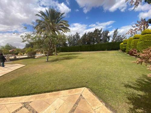 a large grassy yard with a palm tree in it at Booking home stay in 6th Of October