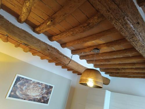 aendant light hanging from a ceiling with wooden beams at La casetta del poggio in Poggio a Caiano