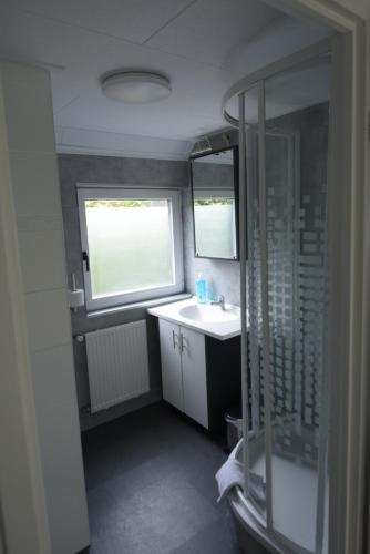 een kleine badkamer met een wastafel en een douche bij Chalet Stijn op de Schatberg in Sevenum