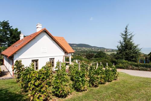 a small white house with a hedge of grapes at Villa Portico in Badacsonytomaj