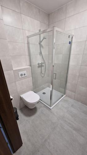 a bathroom with a shower and a toilet at Domek na Cyplu Ostrowskim in Ostrowo