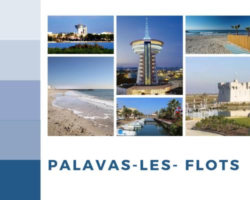a collage of photos of palms las flots at T3 Somptuosa 1 ère ligne Face Mer Palavas in Palavas-les-Flots