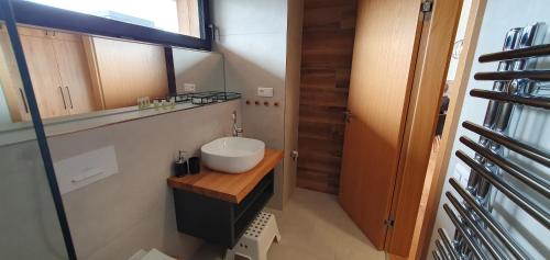 een kleine badkamer met een wastafel en een spiegel bij Ski&Bike Apartment Janské Lázně + Parking in Janske Lazne