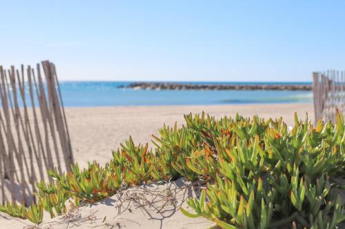 een bos planten in het zand op een strand bij T2 Élégance Vue Mer Palavas-les-Flots in Palavas-les-Flots