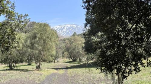 a snow covered mountain in a field with trees at Chalet Contrada Difesa in Bronte