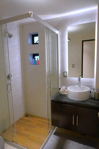 a bathroom with a sink and a shower with a mirror at Loft con balcón en Roma Norte in Mexico City