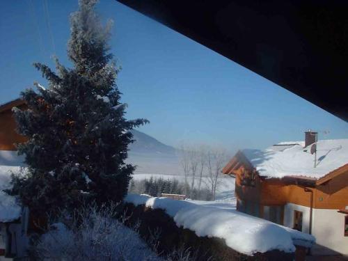 a snow covered christmas tree in front of a house at Ferienhaus Knittel Verm nur Samstag auf Samstag in Murnau am Staffelsee