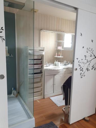 Il comprend une petite cuisine avec un évier et une douche. dans l'établissement Chez Thai et Isabelle, à Oissery