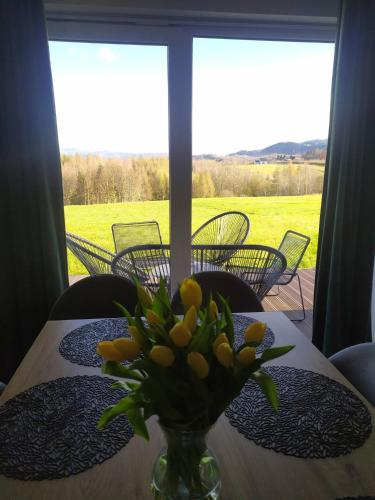 a vase of flowers on a table in front of a window at Górska Stodoła in Lipowa