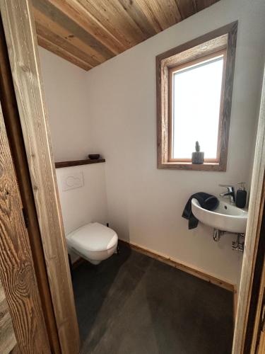 a bathroom with a toilet and a sink and a window at Chalet Clémence in Taninges