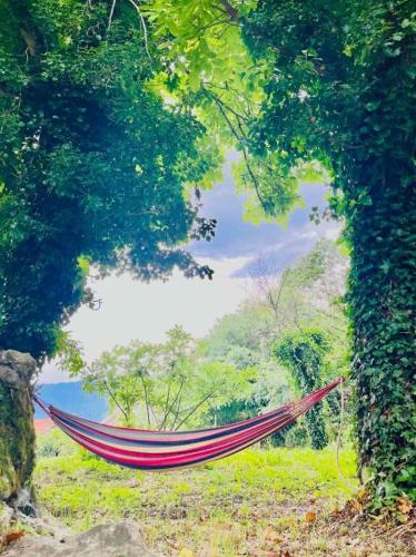 a red hammock in a field between two trees at Apartments Stella in Virpazar