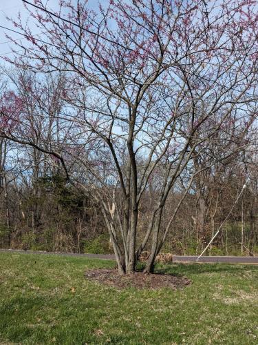Ein Garten an der Unterkunft Stewart Acres