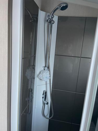 a shower with a shower head in a bathroom at Luxury Romantic 2 Bedroom Caravan Trecco Bay in Newton