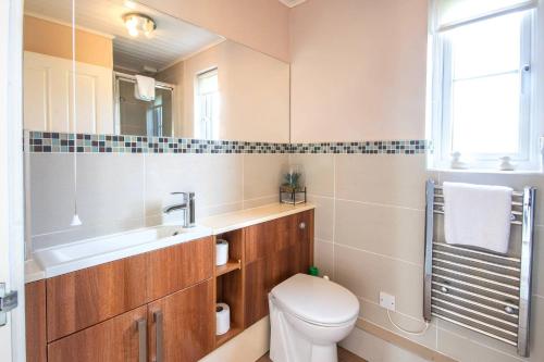 een badkamer met een toilet, een wastafel en een spiegel bij Isis Lakes 50, Natterjack Lodge - P in South Cerney