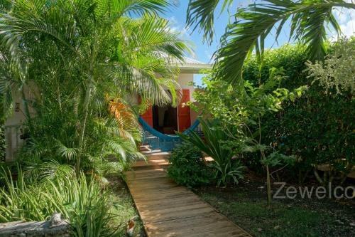 Κήπος έξω από το Bungalow Physalis