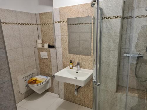 a bathroom with a sink and a toilet and a shower at GardenLoft no4 - enjoy in Vienna