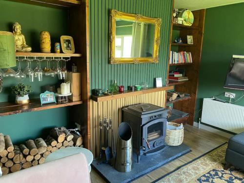 salon z piecem opalanym drewnem i lustrem w obiekcie The Lodge-Cozy and serene home w mieście Cavan