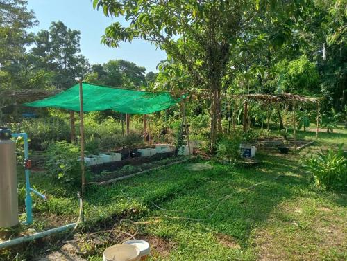 a garden with a green tent in the grass at The River Retreat Koh Mak in Ko Mak