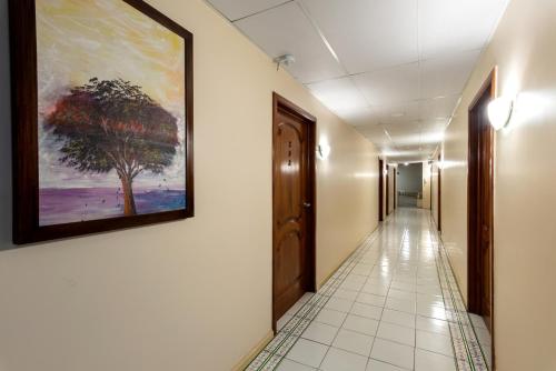 a corridor in a hospital with a painting on the wall at Hotel NASS Pinar del Lago in Cuenca