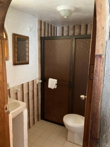 a bathroom with a toilet and a shower door at Hotel Mansion Tarahumara in Areponapuchi