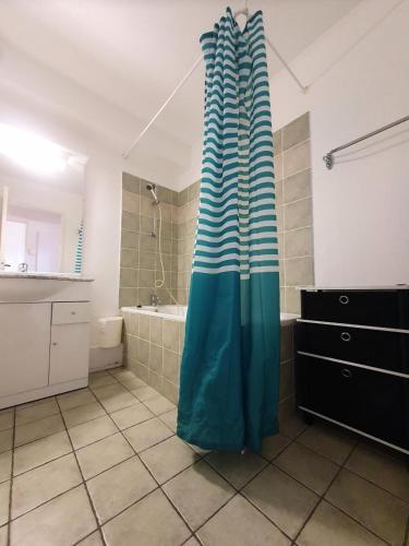 La salle de bains est pourvue d'un rideau de douche et d'une baignoire. dans l'établissement Résidence Les Toits Du Devoluy - APPARTEMENT 6 PERSONNES BALCON EXPO SUD MAE-8604, à Saint-Étienne-en-Dévoluy