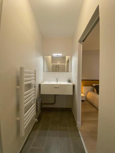 een badkamer met een wastafel en een spiegel bij 45m² rez-de-chaussée au calme centre-ville in Mayenne